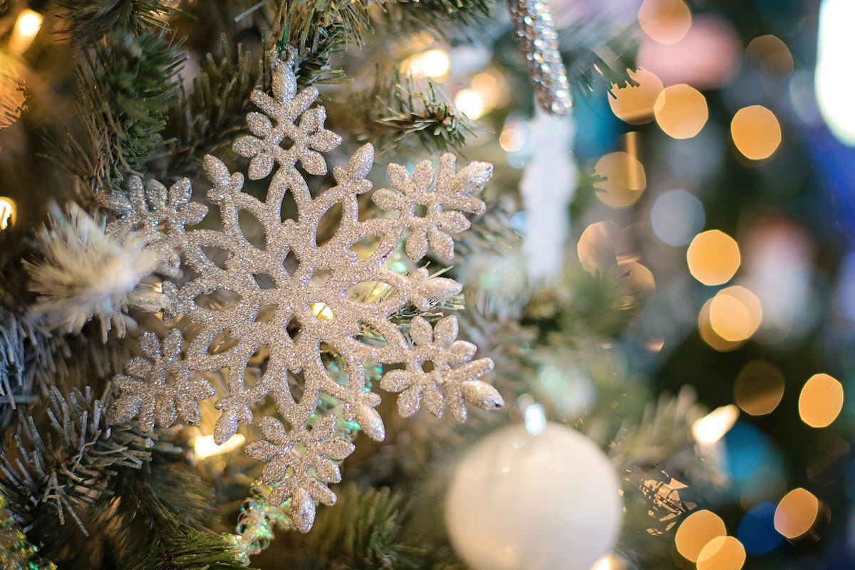 Appartamenti Le Plajedi Cavalese Trentino Val di Fiemme