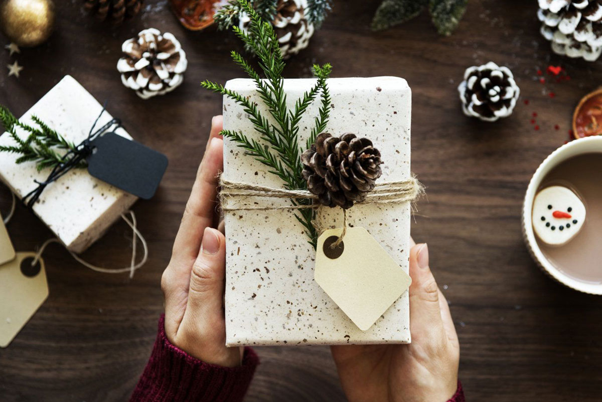 Appartamenti Le Plajedi Cavalese Trentino Val di Fiemme