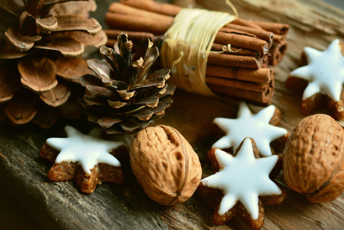 Appartamenti Le Plajedi Cavalese Trentino Val di Fiemme